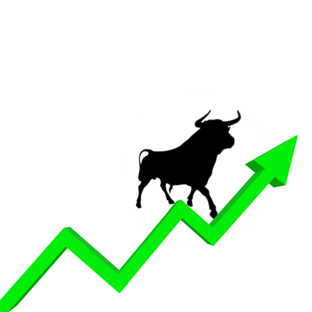 bull-market