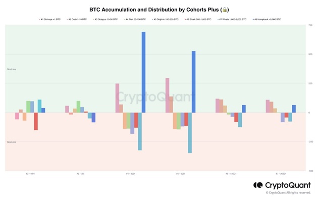 Накопичення і розподіл Bitcoin різними когортами власників криптовалюти. Джерело: newsbtc.com/CryptoQuant.