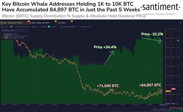 За останні 5 тижнів Bitcoin-кити акумулювали 84 897 BTC. Джерело: Santiment/Twitter