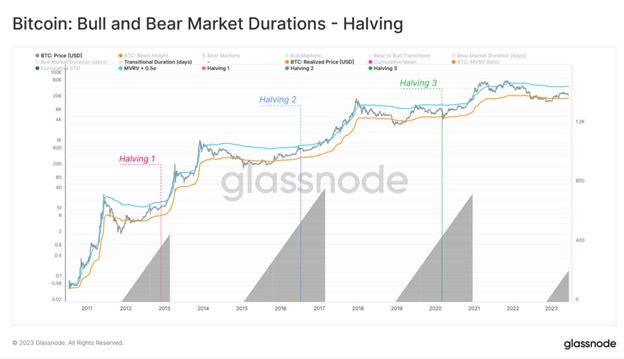 Тривалість бичачого і ведмежого ринків Bitcoin – халвінг. Джерело: Glassnode.