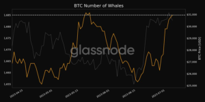 Кількість Біткоін китів (Джерело: Glassnode)