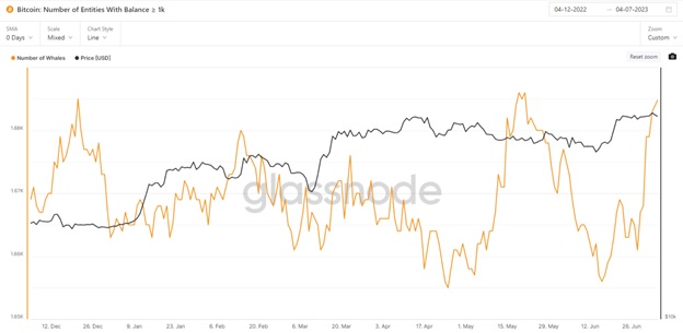 Зміна кількості Bitcoin-китів з об'ємом більше 1 000 BTC. Джерело: Glassnode.