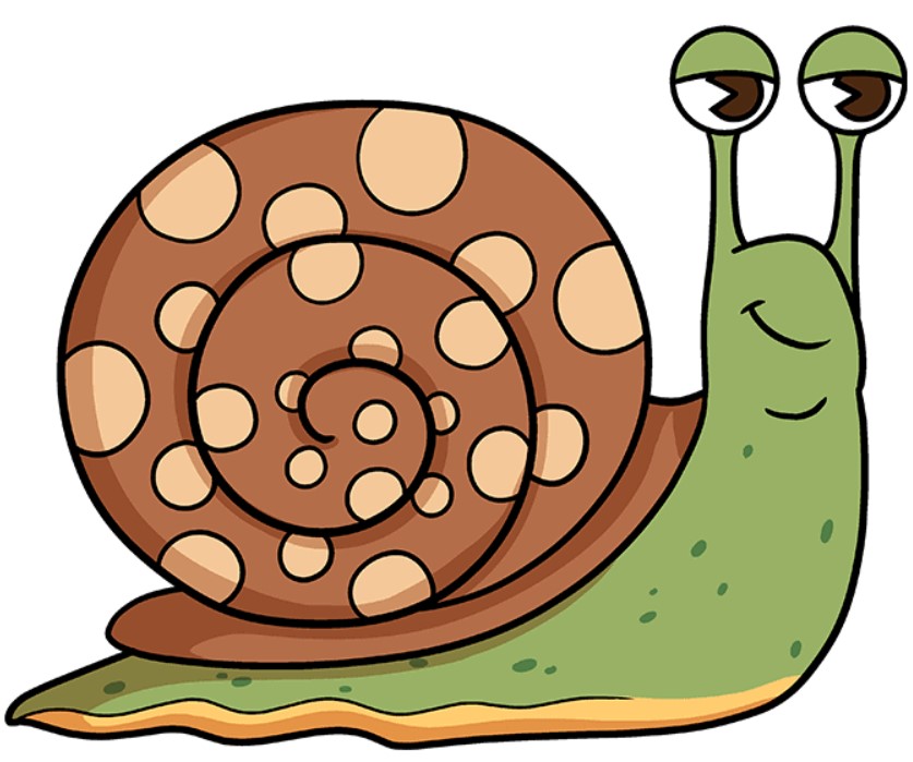 snail Bitcoin