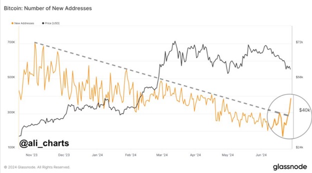 Кількість нових адрес Bitcoin. Джерело: Алі Мартінес/Glassnode.