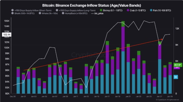 Надходження BTC на Binance від роздрібних інвесторів. Джерело: Darkfost/CryptoQuant.