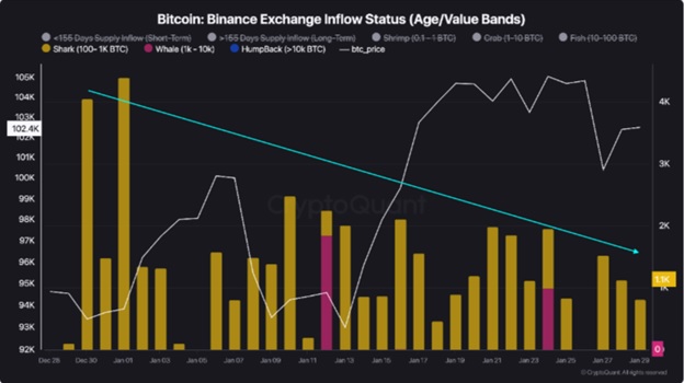 Надходження BTC на Binance від великих інвесторів. Джерело: Darkfost/CryptoQuant.