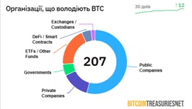 Джерело: BitcoinTreasuriesNet.
